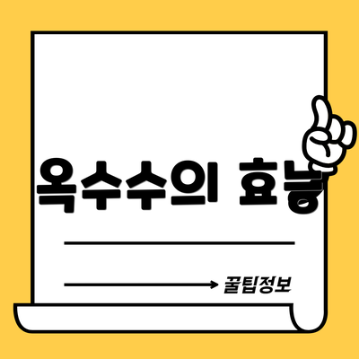 옥수수의 효능