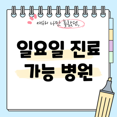 일요일 진료 가능 병원