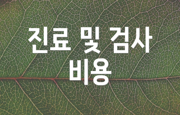 진료 및 검사 비용