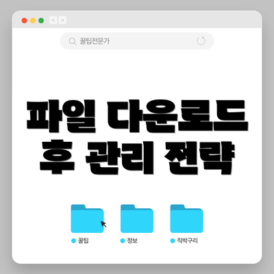 파일 다운로드 후 관리 전략