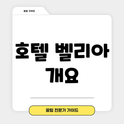 호텔 벨리아 개요