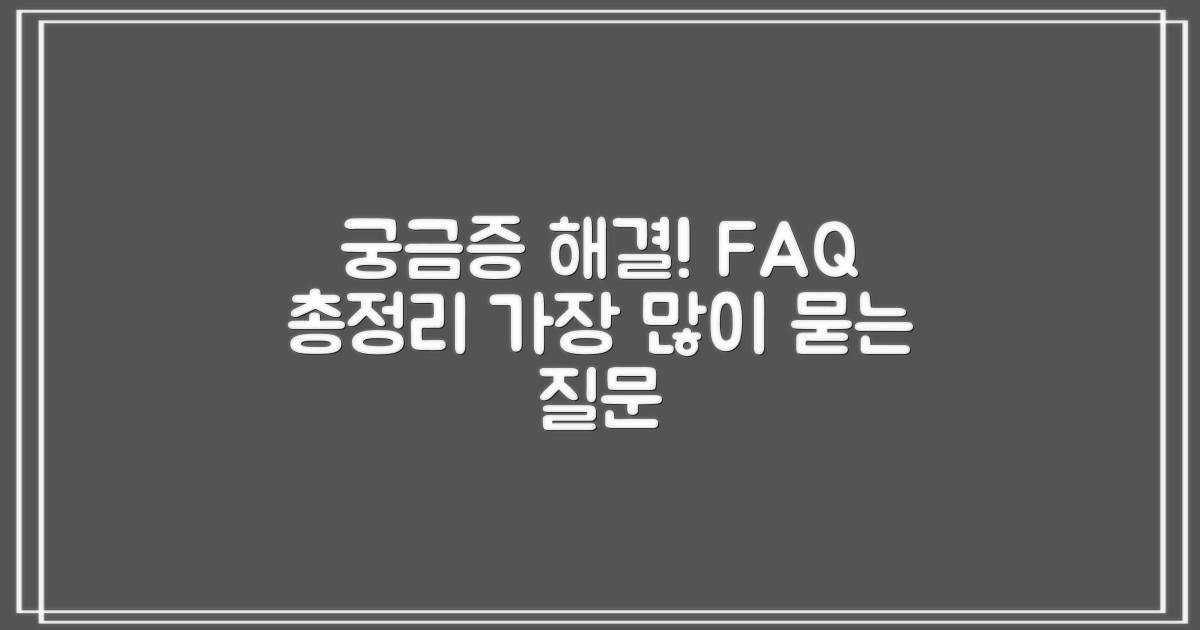 자주 묻는 질문